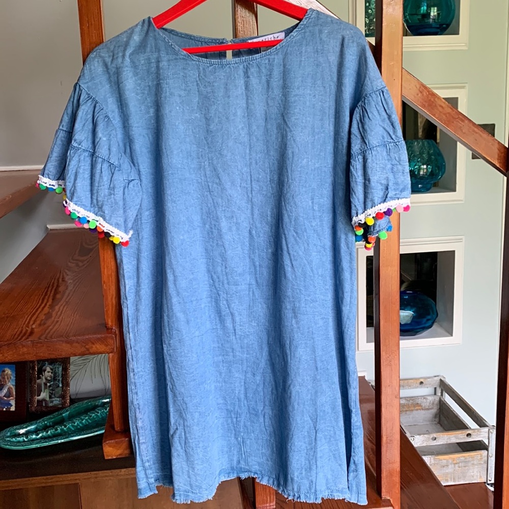 Love-riche denim tunic in great condition